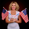 Light Up American Flags - SKU NO: 11496