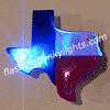 Texas Blinking Pin - SKU NO: 10189