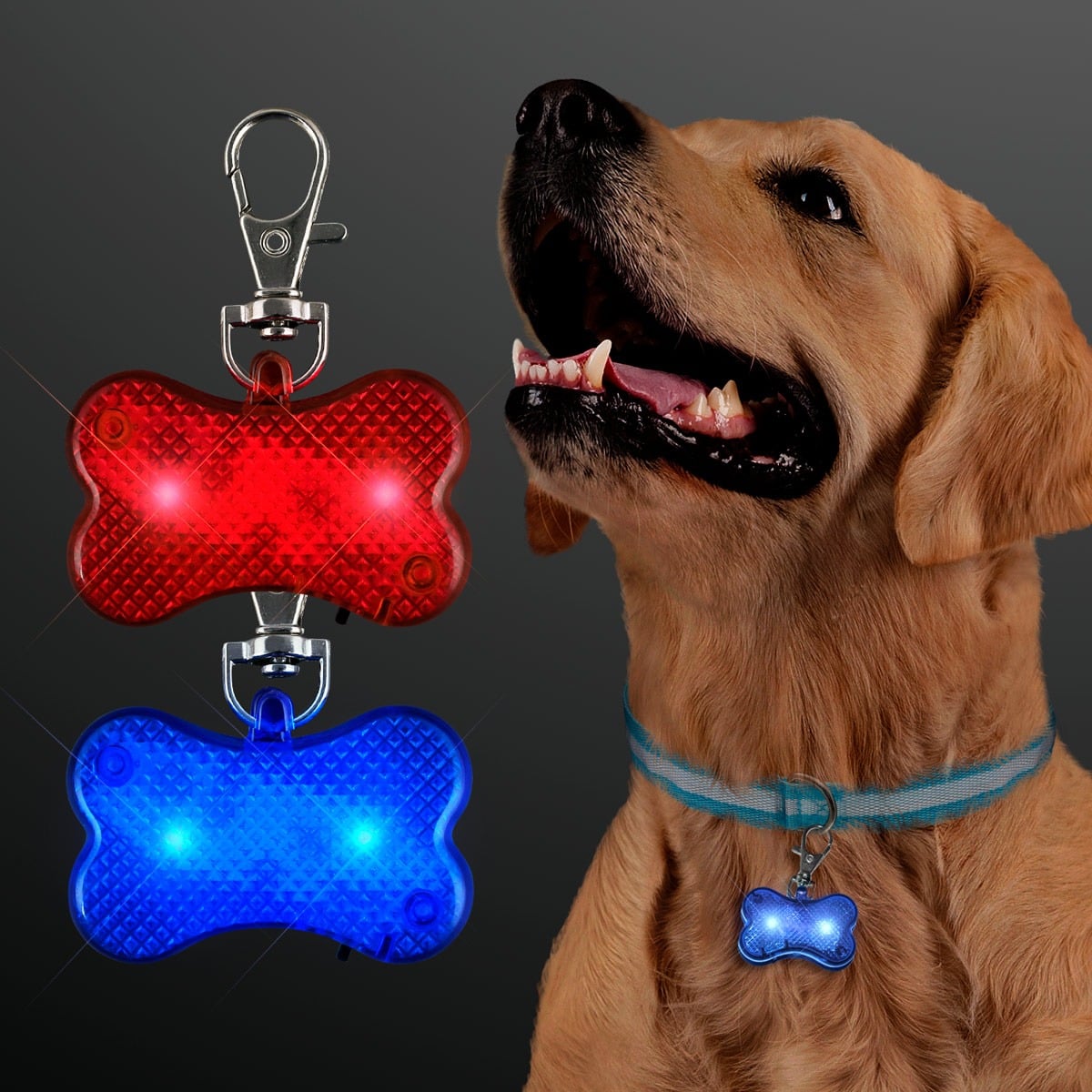 A golden retriever wears a blue collar with a blue LED Dog Bone Pet Safety Light. Beside the dog are two LED Dog Bone Pet Safety Lights, one glowing red and one blue, all visible against a dark background.